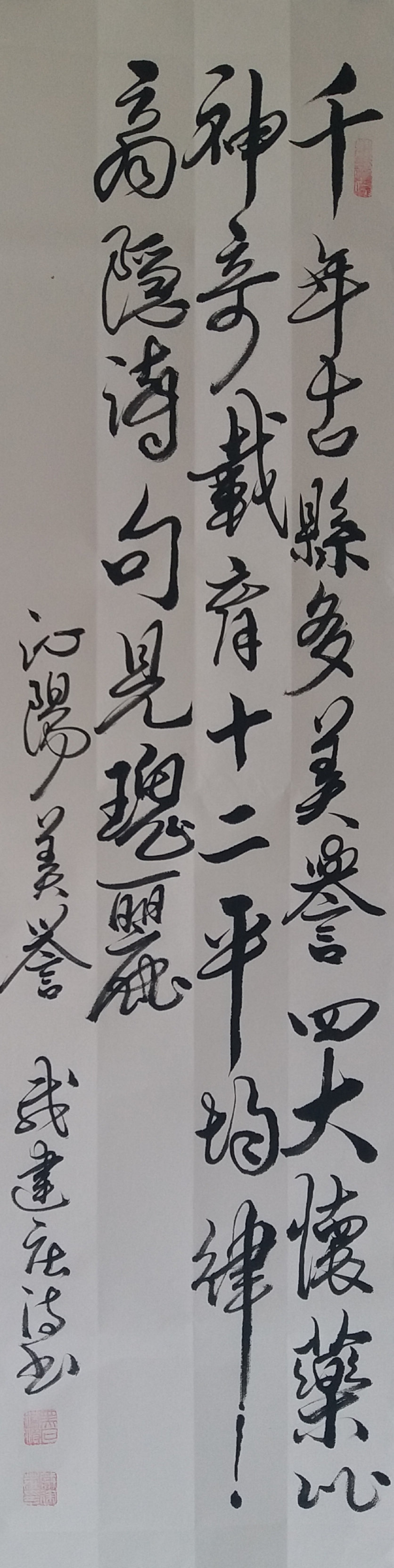 96.jpg